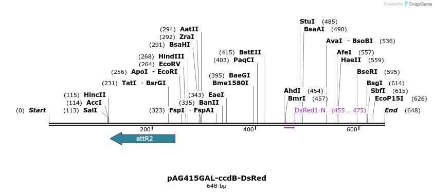 20968_map