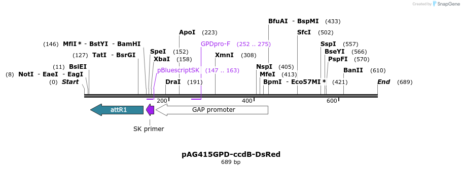 20970_map