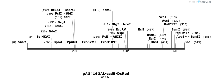 20972_map