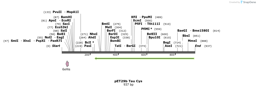 209738_map