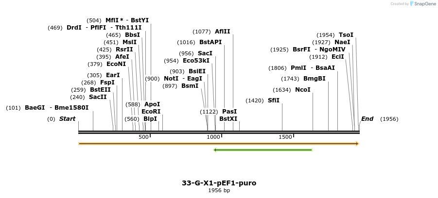 209755_map