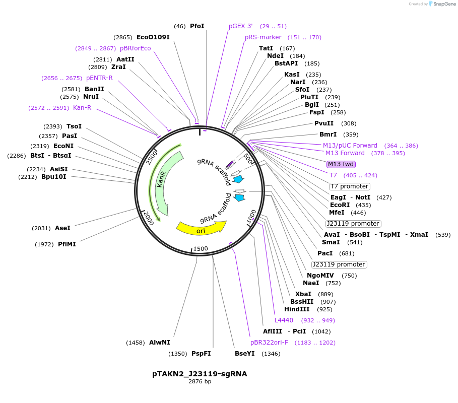 209776_map
