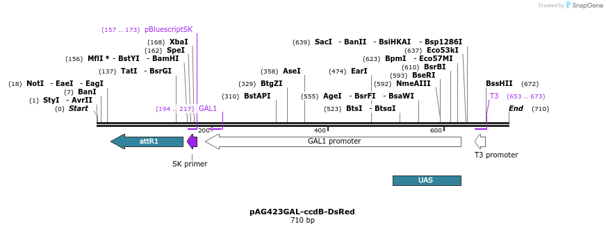 20979_map