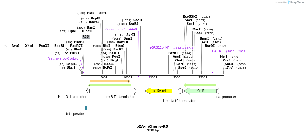 209816_map