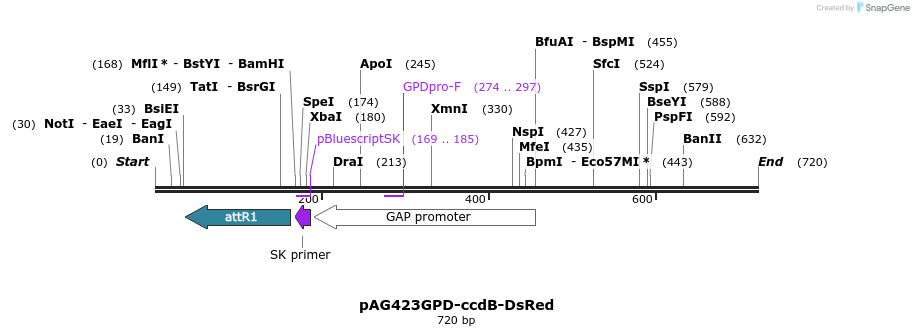 20982_map