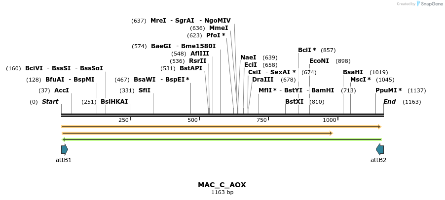 209820_map