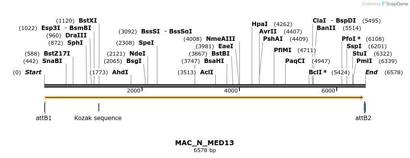 209821_map