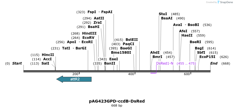 20983_map