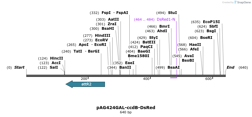 20985_map
