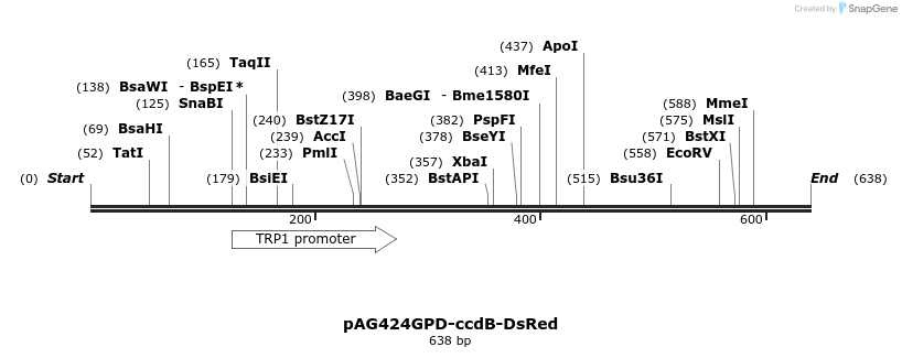 20986_map