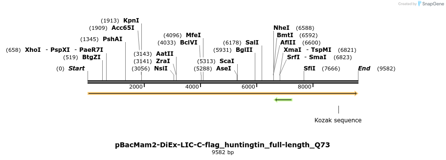 209879_map