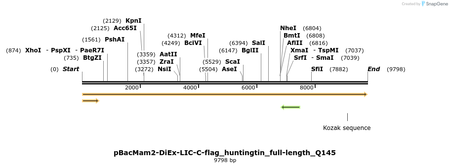 209882_map