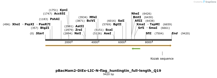 209884_map