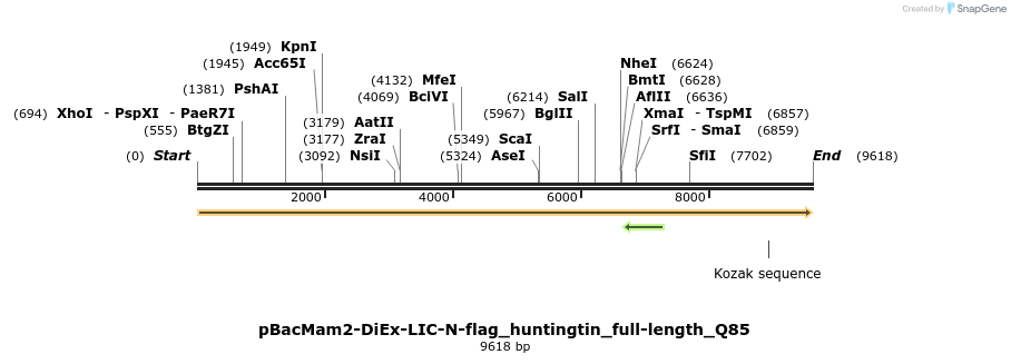 209887_map