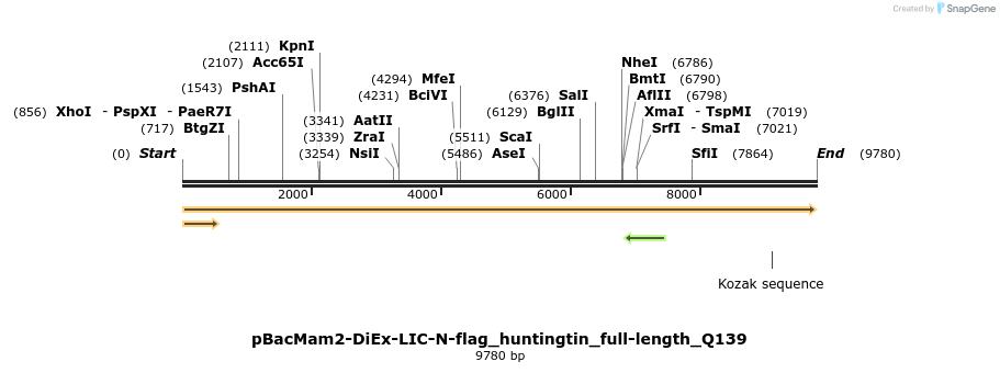 209889_map