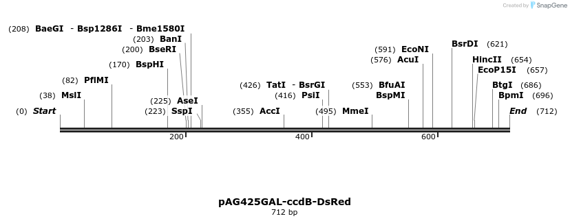20989_map
