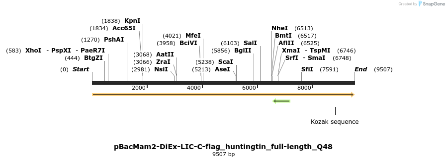 209898_map