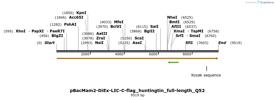 209899_map