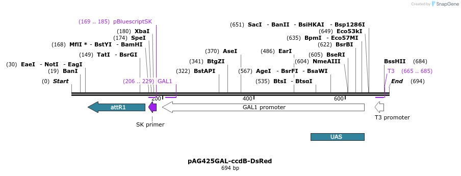 20990_map