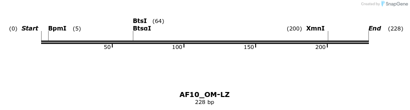 209904_map