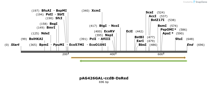 20995_map