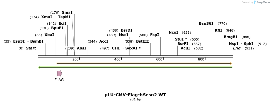 209984_map
