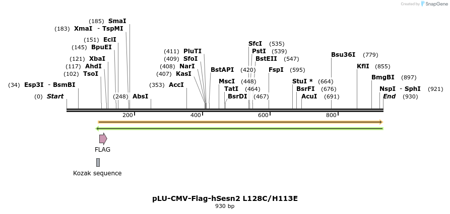 209988_map