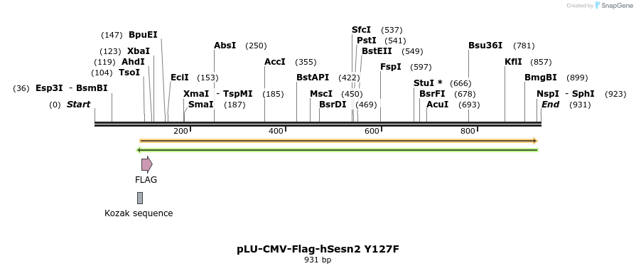 209994_map
