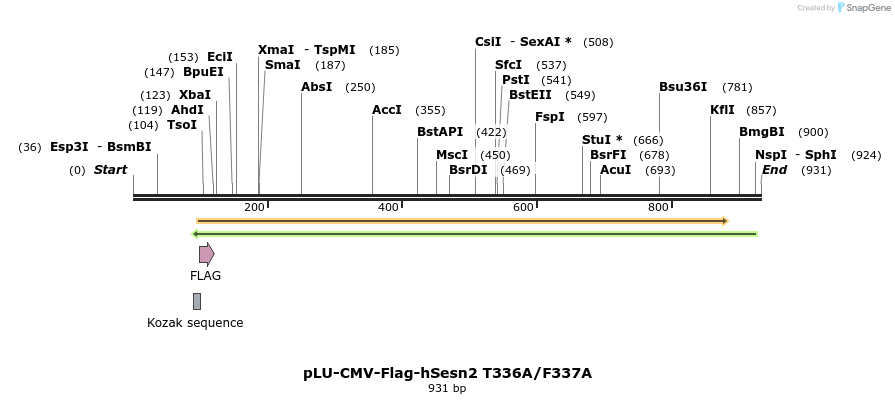 210006_map