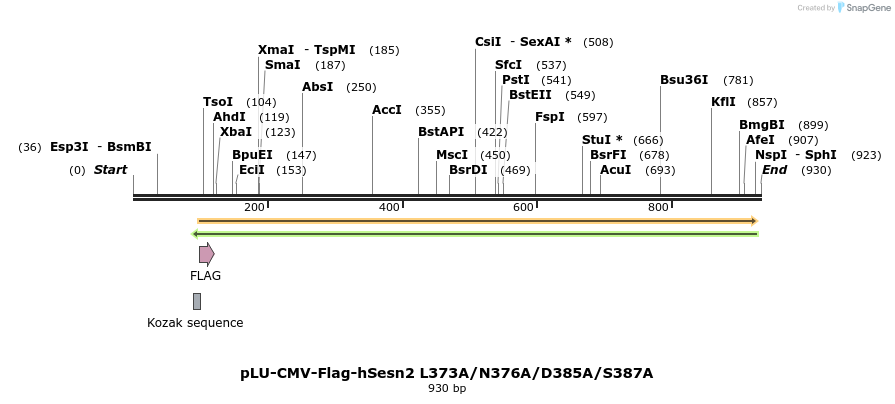 210010_map