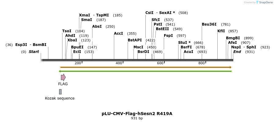 210016_map