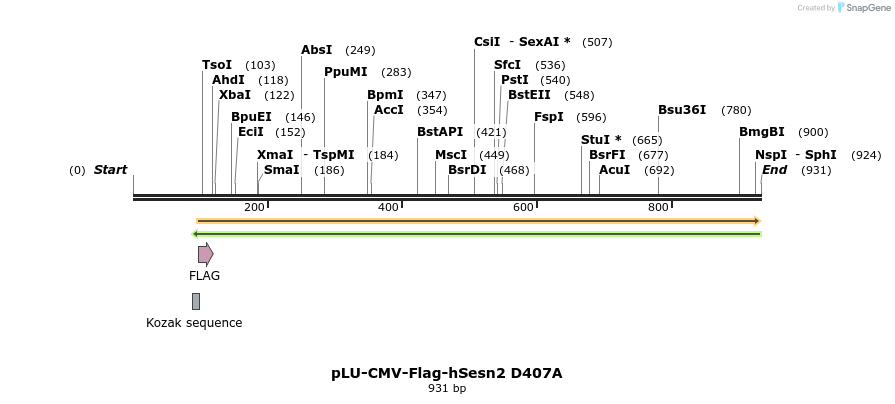 210022_map