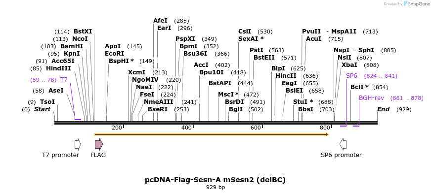 210025_map