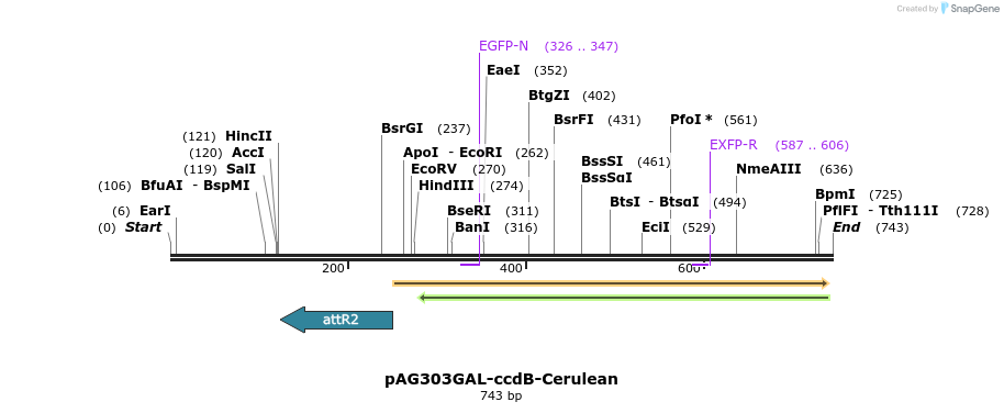 21003_map