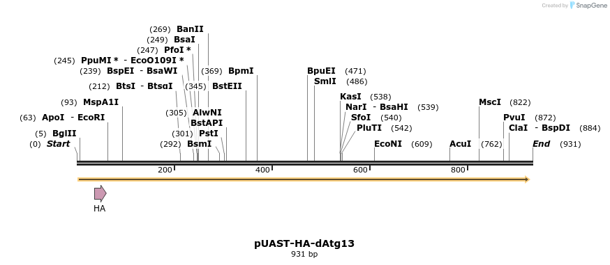 210032_map