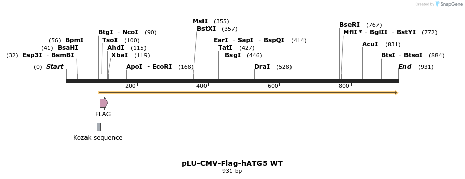 210034_map