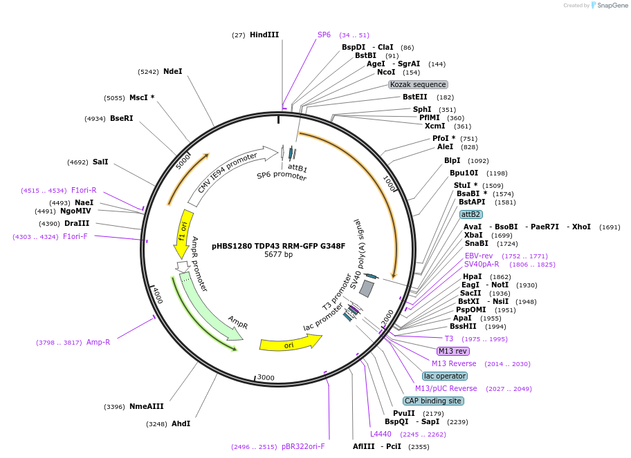 210063_map