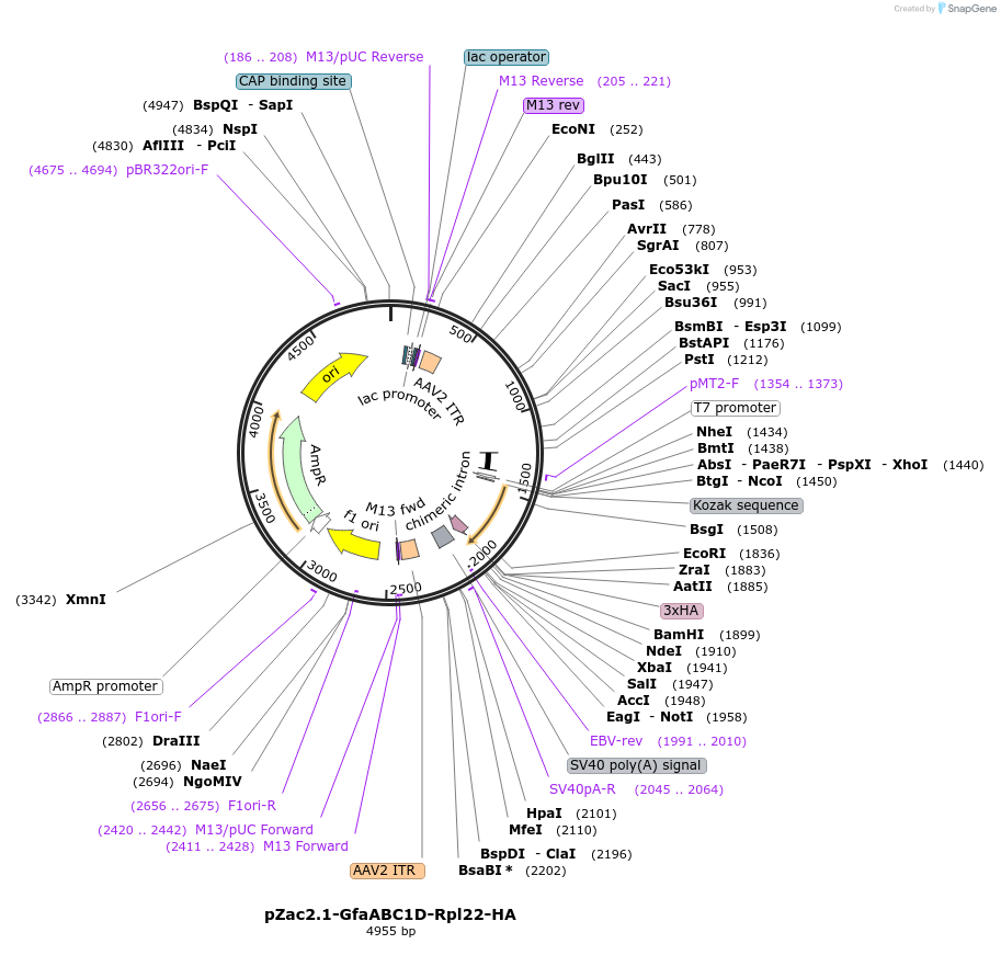 210066_map