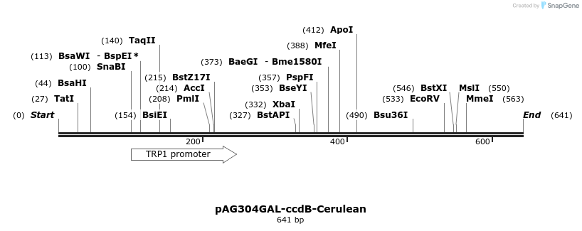21007_map