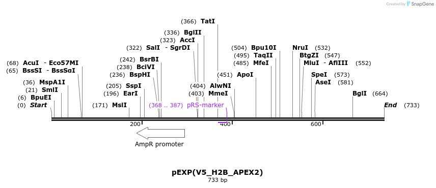 210078_map