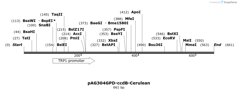 21010_map