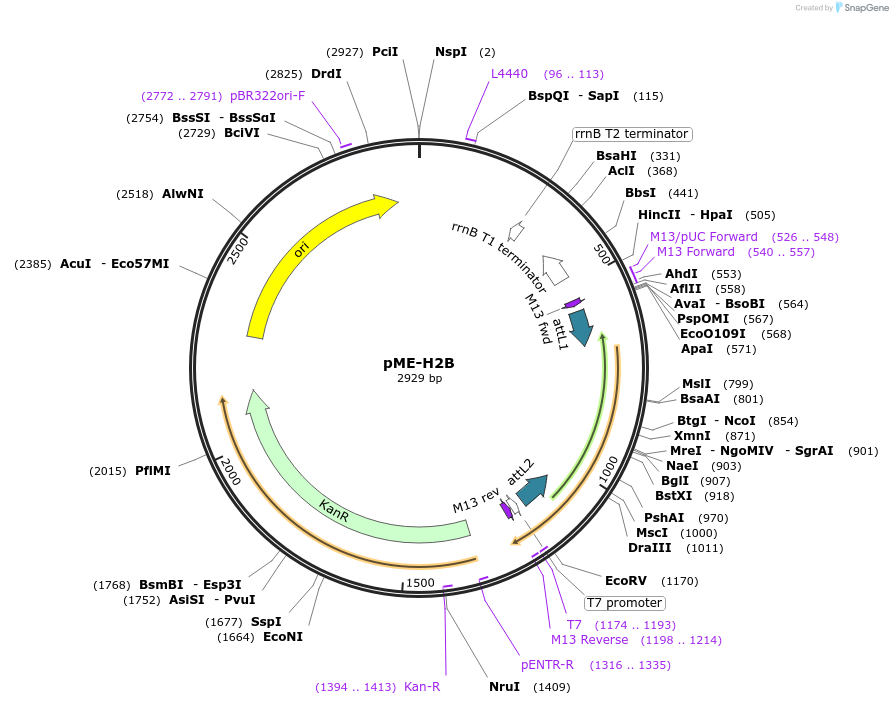 210105_map