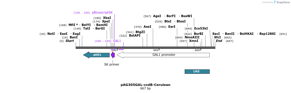 21014_map