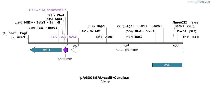 21020_map
