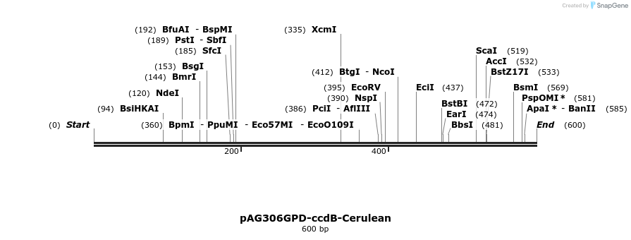 21022_map