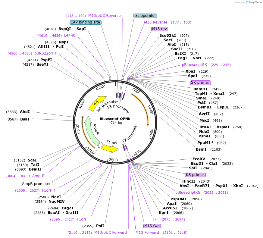 210259_map