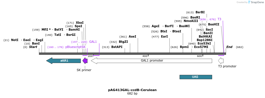 21026_map