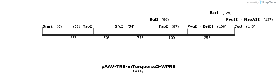 210285_map