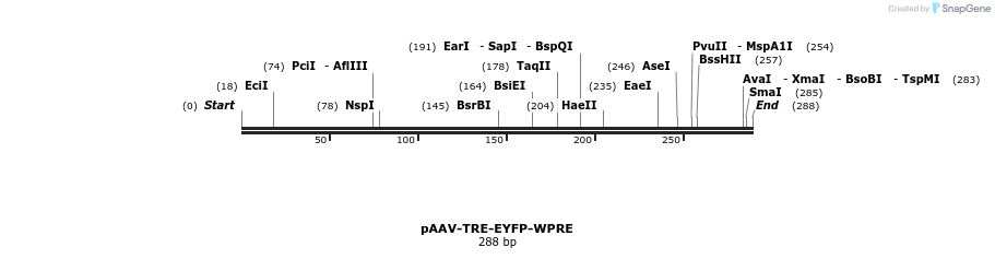 210289_map