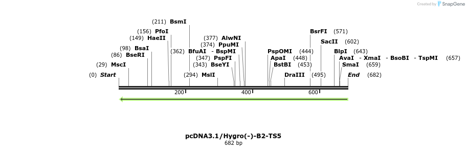210319_map